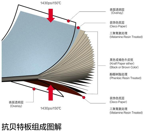 格林雅抗倍特板組成圖解 格林雅抗倍特板組成圖解